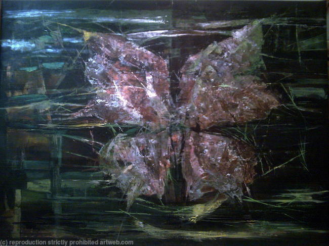De Vleugels van een Droom | The Wings of a Dream